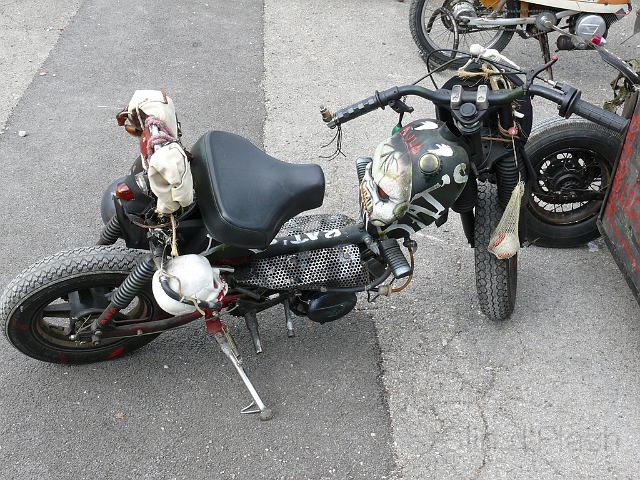 Insolite_05.jpg