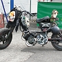 Insolite_04