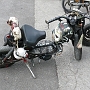 Insolite_05