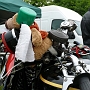 Mascottes_05