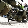 Petochons_029