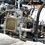 Petochons_172