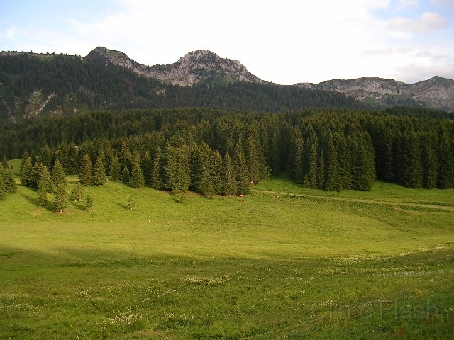 RN_enduro_Haute-Savoie_2005-15.jpg - Plateau des Glières