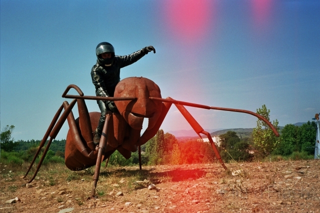 El_domptor01.jpg - El domptor !