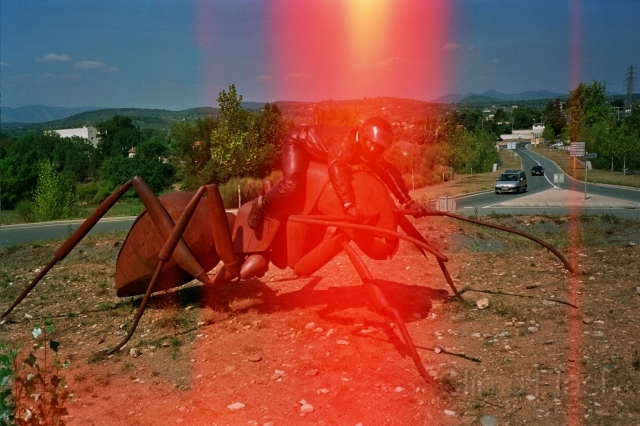 El_domptor02.jpg - El domptor !